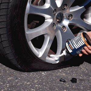 Universell Nachfüllflasche TERRA-S Standard Kit 700 ml CH-Version