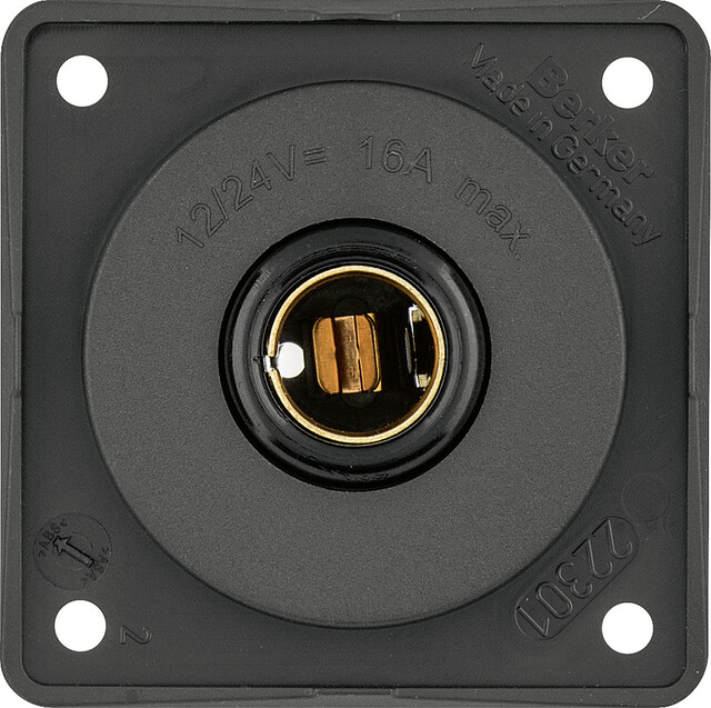 Berker Steckdose klein Farbe anthrazit 12 V DIN