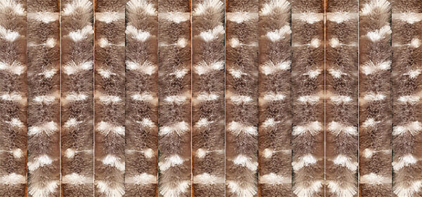 Türvorhang  ARISOL 56 x 185 cm Farbe braun/weiß