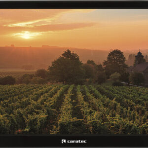 Caratec Vision CAV220B.2 55cm/22 Zoll Weitwinkel TV mit DVB-T2 HD und DVB-S2
