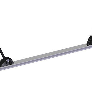 E-Bike Schiene Thule für Sport G2 Traglast 30 kg