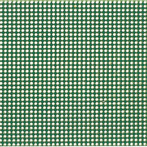 Fußmatte LAKO Condor 60 x 40 cm Farbe grün