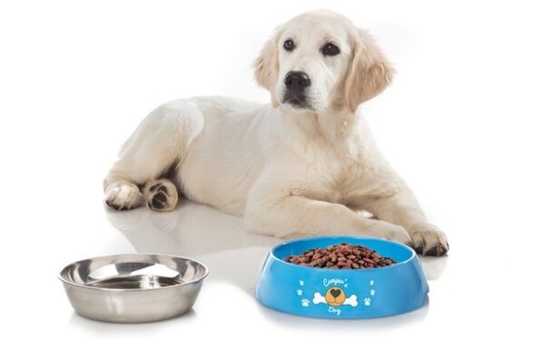 Hundeschüssel BRUNNER Hungry XL Farbe blau – Bild 3