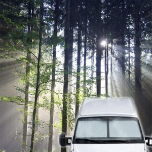 REMIfront IV Fahrerhausver- dunkelung Set passend für Mercedes Sprinter VS30 ab 2019 Farbe grau