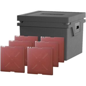 Kühlbox QOOL Eco+ L Standard Cool mit 6 Temperatur Elementen