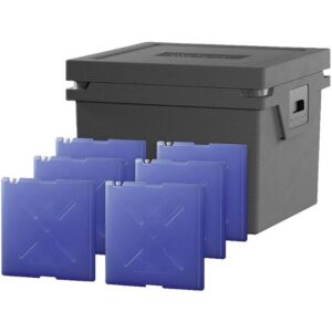 Kühlbox QOOL Eco+ L Controlled Fresh mit 6 Temperatur Elementen