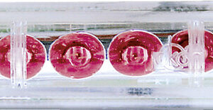 LED Schlussleuchte Jokon Farbe transparent mit roter LED 12 V