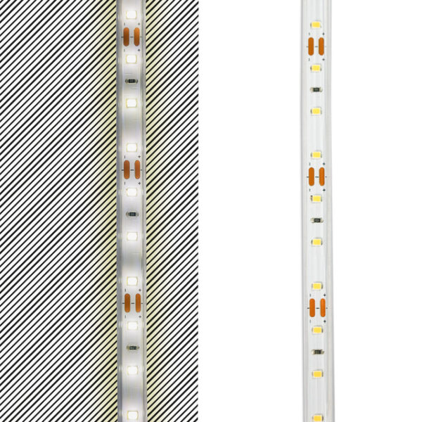 LED Flexband SCL 5 m Rolle, 7,2 W, 12 V DC, 4000 K, IP65, 60 LED