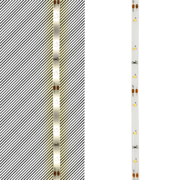 LED Flexband SCL 5 m Rolle 4,8 W, 12 V DC, 3000 K, IP54, 30 LED