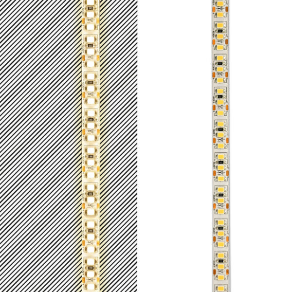 LED Flexband SCL 5 m Rolle 15 W, 12 V DC, 3000 K, IP54, 180 LED