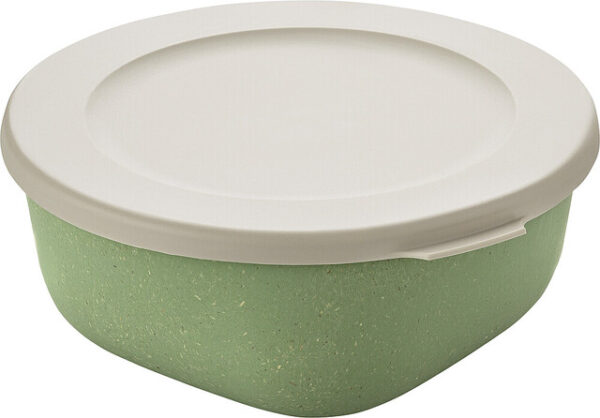 Box mit Deckel koziol 700 ml CONNECT BOX 0,7 Farbe nature leaf green