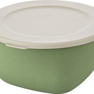 Box mit Deckel koziol 2 l CONNECT BOX 2 Farbe nature leaf green