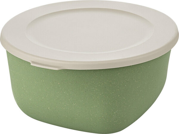 Box mit Deckel koziol 2 l CONNECT BOX 2 Farbe nature leaf green
