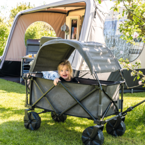 Bollerwagen BURANO mit Dach grau(A)