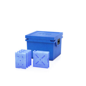 Kühlbox QOOL L Fresh mit 6 Temperature Elementen