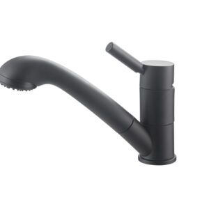 Einhebelmischer REICH Trend E mit Brause Julia Farbe Schwarz