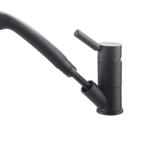 Einhebelmischer REICH Trend E mit Brause Julia Farbe Schwarz