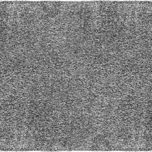 Fußmatte LAKO Aquastop 100 x 150 cm Farbe grau