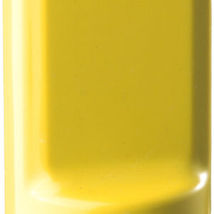 Staubsauger BRUNNER Vortix Wet&Dry