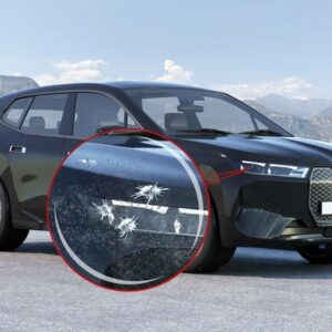 Insektenreste & Vogelkot Aktivlöser MELLERUD Inhalt 0,5 l